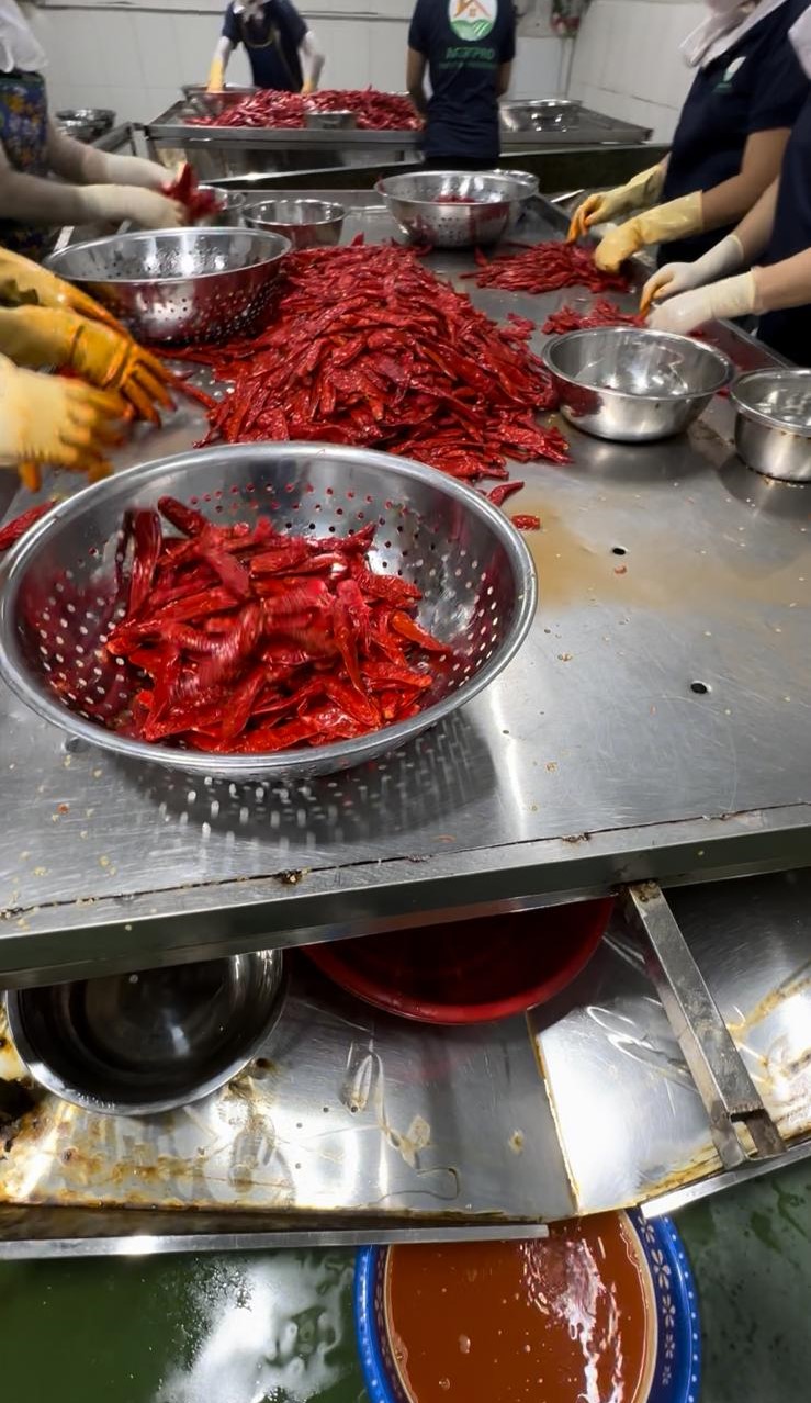 Vietnam Processing Facility